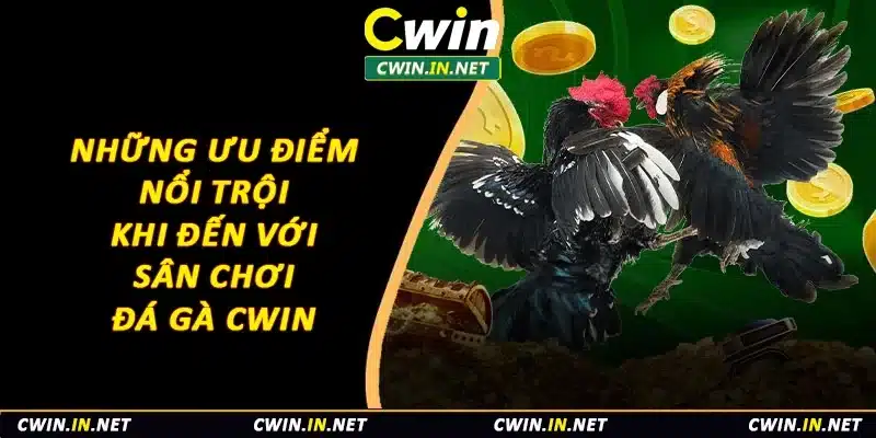 Những ưu điểm nổi trội khi đến với sân chơi đá gà Cwin